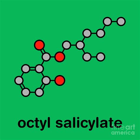 octyl salicylate reviews.